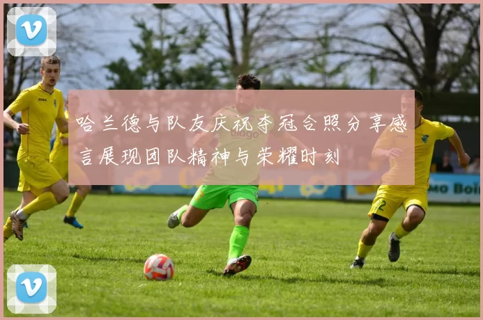哈兰德与队友庆祝夺冠合照分享感言展现团队精神与荣耀时刻