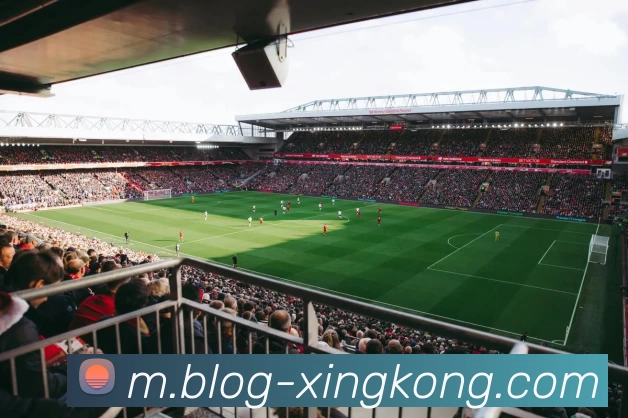 星空体育APP 体育赛事宣传图